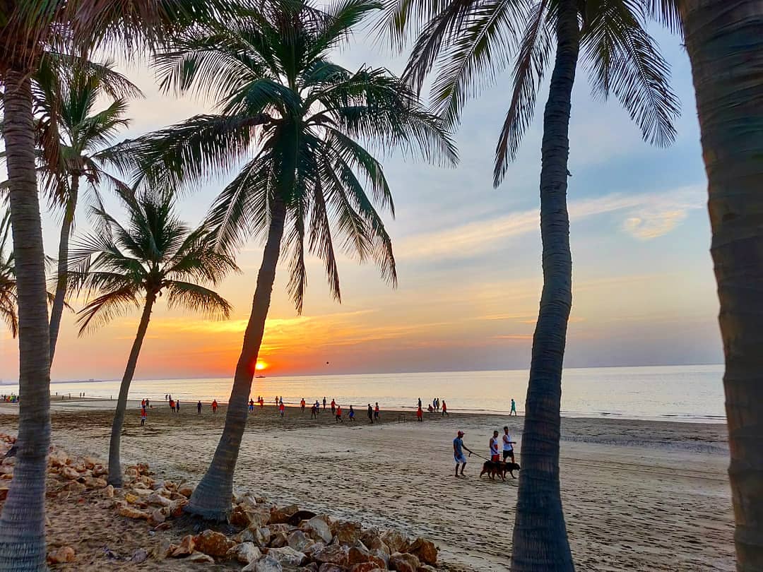 EliteTravelOman's tweet photo. Sunsets are beautiful in Oman..
Have you seen one yet?
#omani #beautyhasanaddress #travelgram #igersmuscat #picoftheday #traveldiaries #travel #traveller #gulflife #instadaily #oman๐ด๐ฒ #travelphotography #experienceoman #explore #beach #wanderlust #omanbyyou #eliteoman https://t.co/gn35vi1c0a