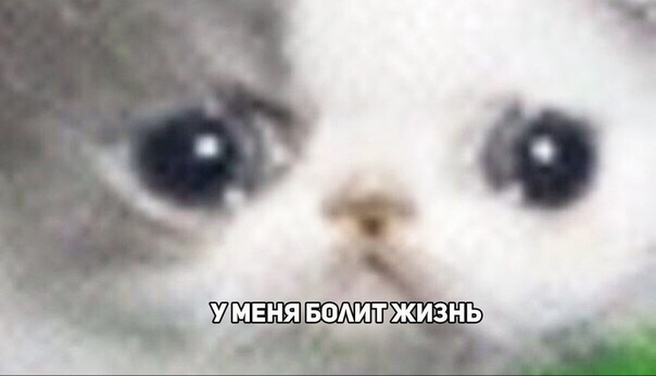 so_mad_so_funny's tweet photo. https://t.co/f4vQjzvJUO