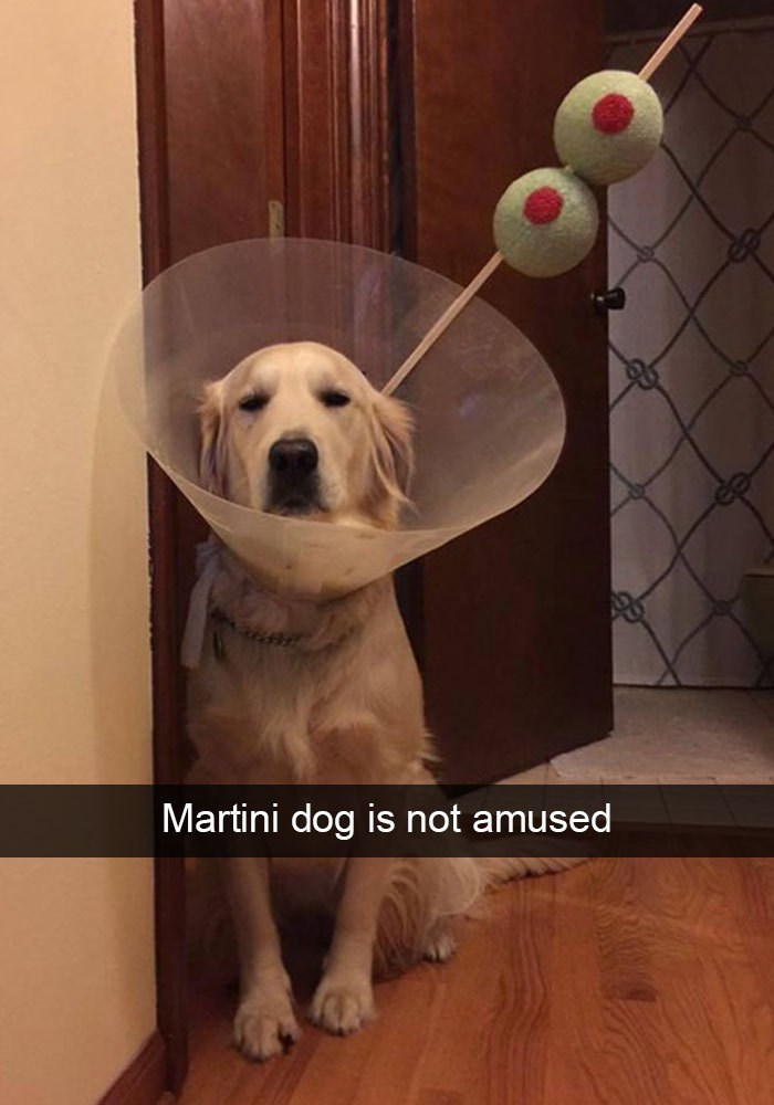 LeDanator's tweet photo. Juste parce qu'elle me fait rire :D https://t.co/PjtC1E4V84