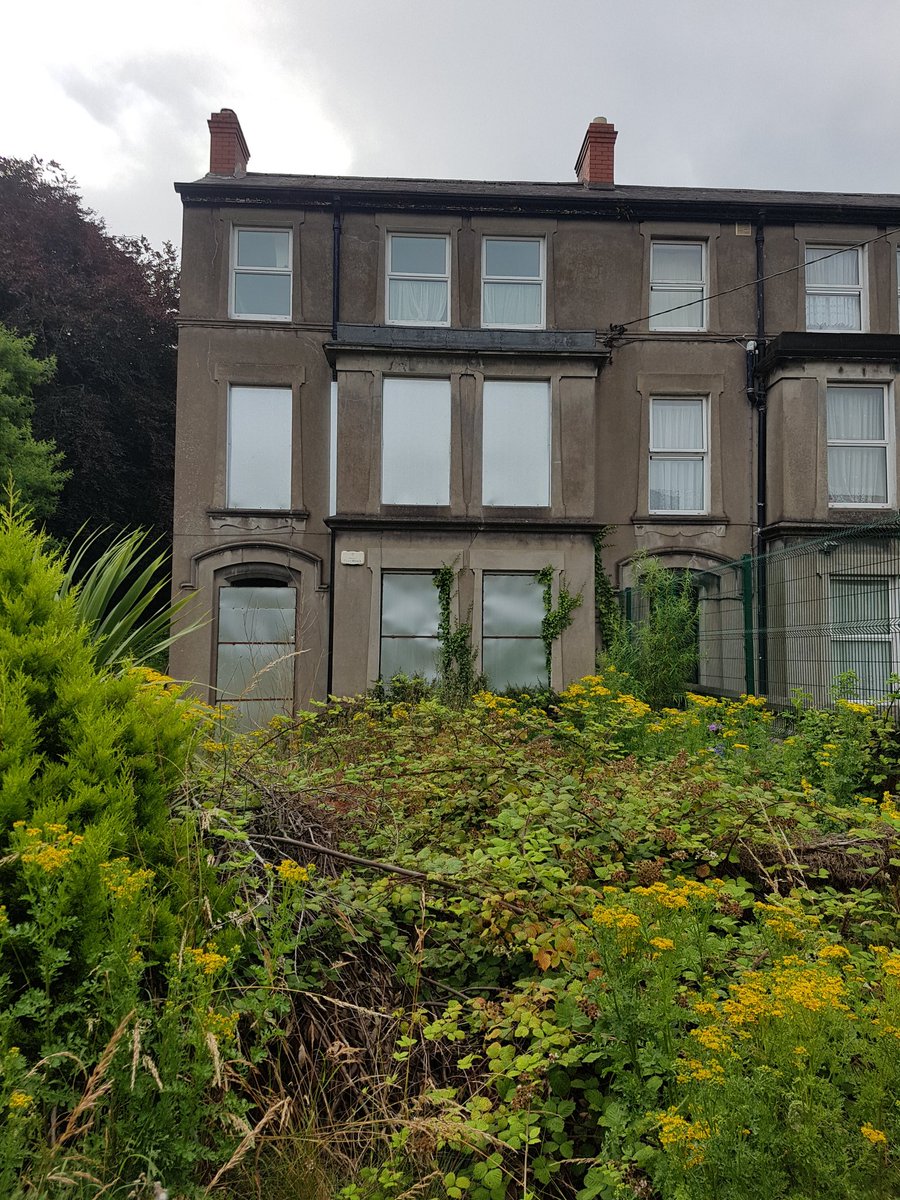 behind the red wooden entrance lies a beautiful abandoned property in  #Cork city centre, someone's home, be amazing to see it lovingly restored back to its former glory, showcasing details around windows, door, lovely garden space too  #corkcc  #socialcrime  #regeneration  #homeless