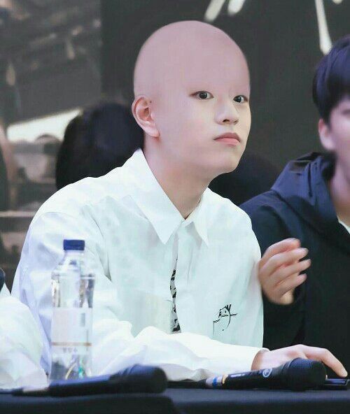 yonkbog's tweet photo. good evening bald boys ✨

+ @samthehwang https://t.co/ik0p7KYHU5