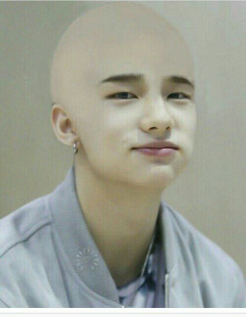 yonkbog's tweet photo. good evening bald boys ✨

+ @samthehwang https://t.co/ik0p7KYHU5