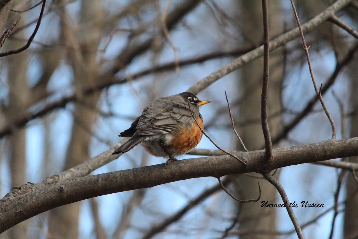 I think I should start eating a little less now 😂🙈 

<a href="/CanonUSAimaging/">Canon USA Corp.</a> #canonphotography #CanonFavPic