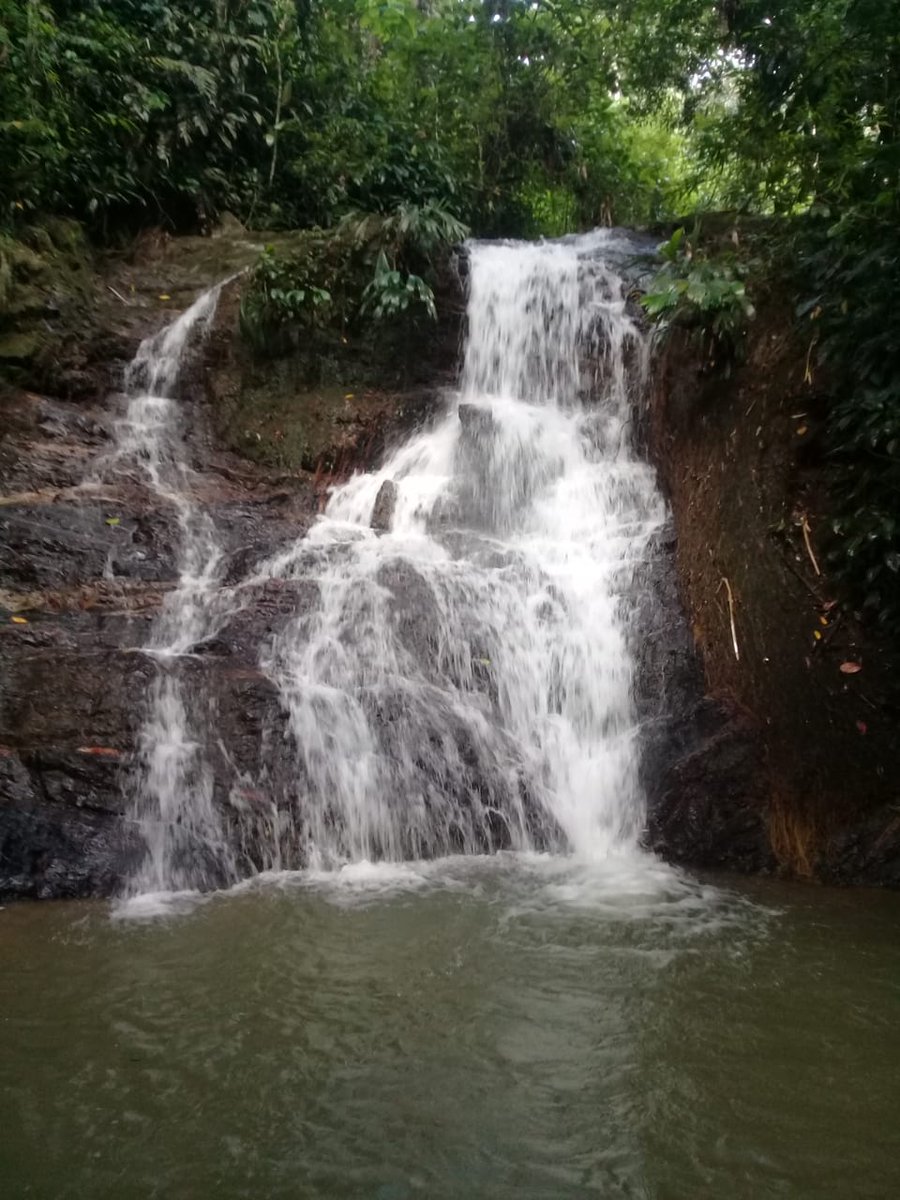 #Hoy Domingo pasábamos por aquí y les queremos dejar estas maravillosas fotos que nos comparte el #caficultor Atanael Reatiga de su Vereda La Libertad, #CorregimientoDeSanJavier, #Ciénaga dan ganas de soñar en ese verdor inmenso, Qué les parece?

<a href="/FedeCafeteros/">Federación Nacional de Cafeteros</a> 
<a href="/robertovelezv/">Roberto Vélez Vallejo</a>