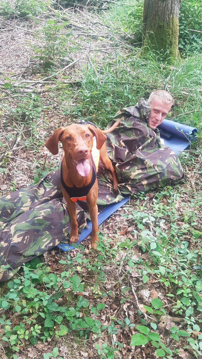 SDSussex's tweet photo. And a couple more. Search Dog Spice finding Liam ๐พ #searchtraining https://t.co/WNJ1ii7ZoH