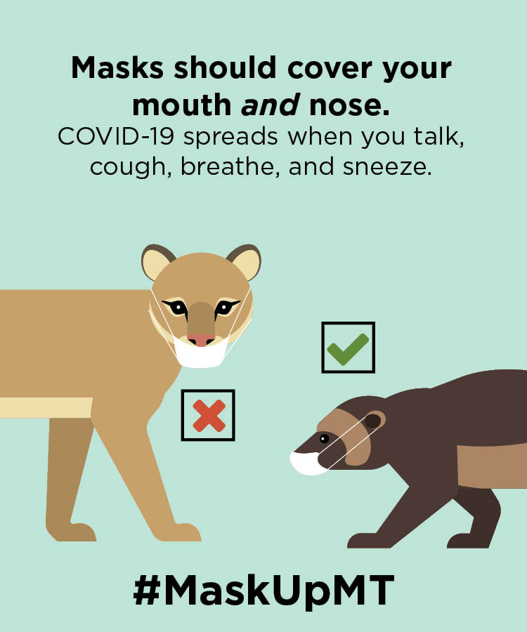 Steve Bullock tweet media