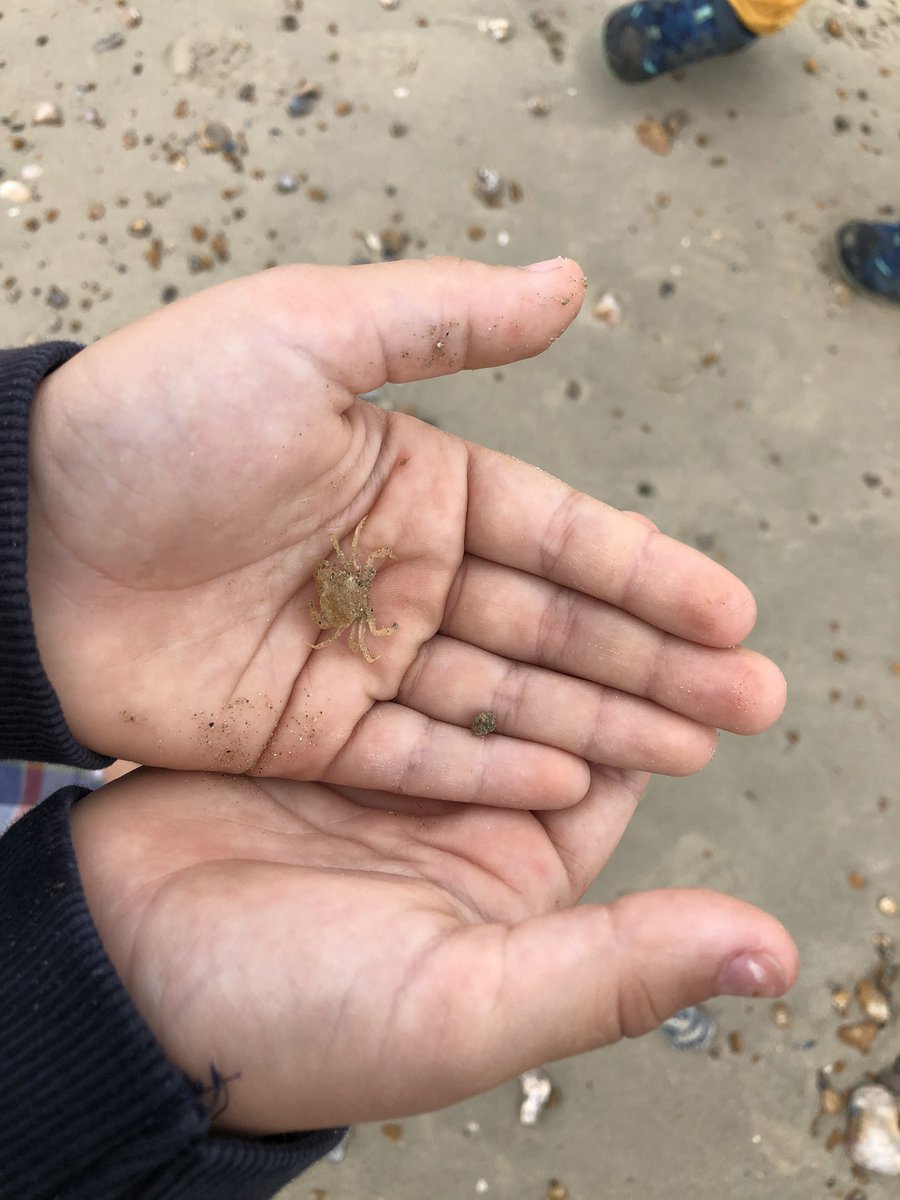 Samantha Lovegrove (@sllovegrove) on Twitter photo 