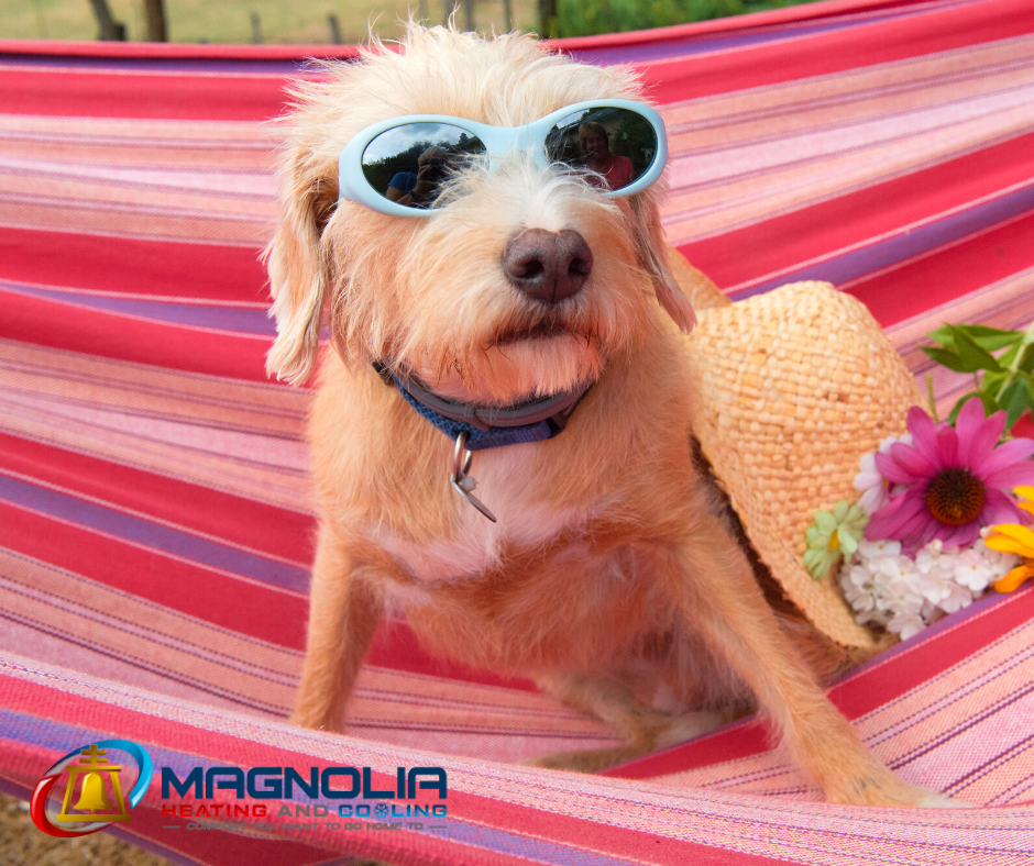maghvac's tweet photo. Our deals are so bright, you'll need shades! https://t.co/IkDnizttxc https://t.co/sDDiRyoH8x