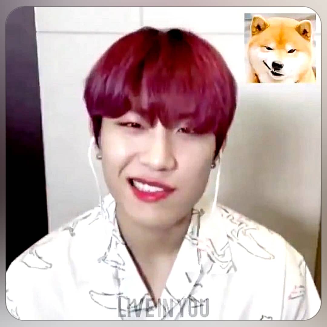 CattyElpos's tweet photo. Why so cute Woojinie?
You're always making my heart dugeun dugeun.. eotteoke!😍

Saranghae❤
@AB6IX @AB6IX_MEMBERS
#AB6IX #에이비식스 #VIVID 
#전웅 #김동현 #박우진 #이대휘 #JeonWoong 
#KimDonghyun #ParkWoojin #LeeDaehwi
#에비뉴의_답은_온리예삐
#RedUpForAB6IX https://t.co/Db6ZzD6Kpo