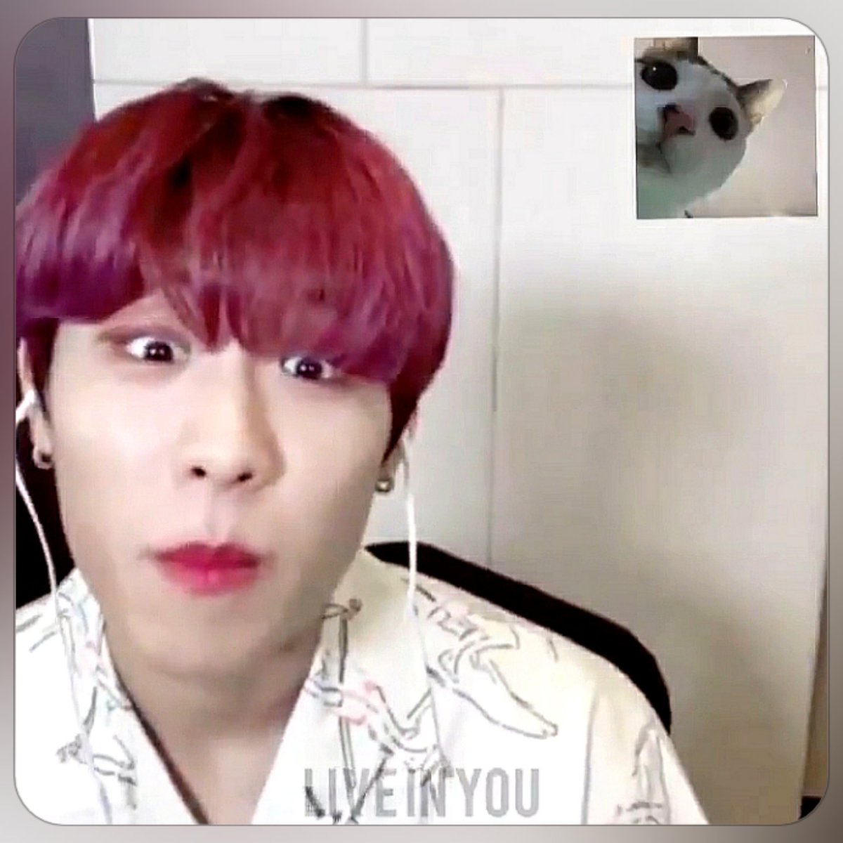 CattyElpos's tweet photo. Why so cute Woojinie?
You're always making my heart dugeun dugeun.. eotteoke!😍

Saranghae❤
@AB6IX @AB6IX_MEMBERS
#AB6IX #에이비식스 #VIVID 
#전웅 #김동현 #박우진 #이대휘 #JeonWoong 
#KimDonghyun #ParkWoojin #LeeDaehwi
#에비뉴의_답은_온리예삐
#RedUpForAB6IX https://t.co/Db6ZzD6Kpo