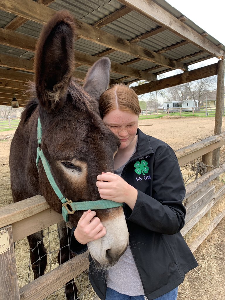 ocpdallas's tweet photo. A #shoutout to our amazing #4H volunteers! Rain or shine, you are always there to help feed, train, clean, and snuggle all of our wonderful animals. π₯° Thank you for all that you do! β€οΈπππ
#4hclub #4hkids #weloveourvolunteers #animalcare #animalsnuggles #getoutside https://t.co/DvI4PHmkck