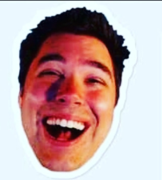 reversed tweet media