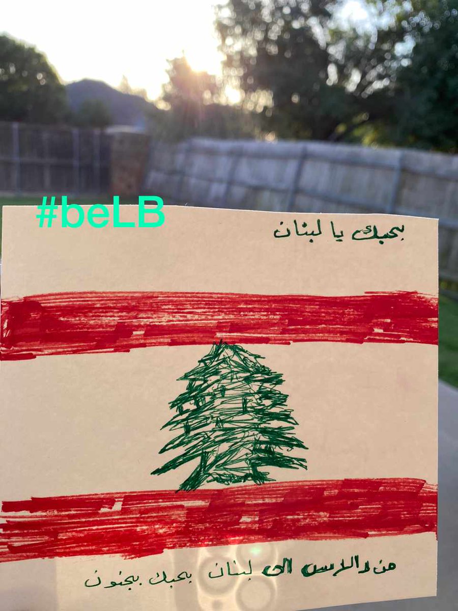 terekmaninoura's tweet photo. بحبك يا لبنان من مغتربة لبنانية كرمالها وكرمال كل المغتربين رح نكمل ثورتنا حقهم يرجعوا على وطنهم #ثوار_احرار_منكفي_المشوار ✌🏻🇱🇧❤️
#beLB https://t.co/iq9I8WdRm5