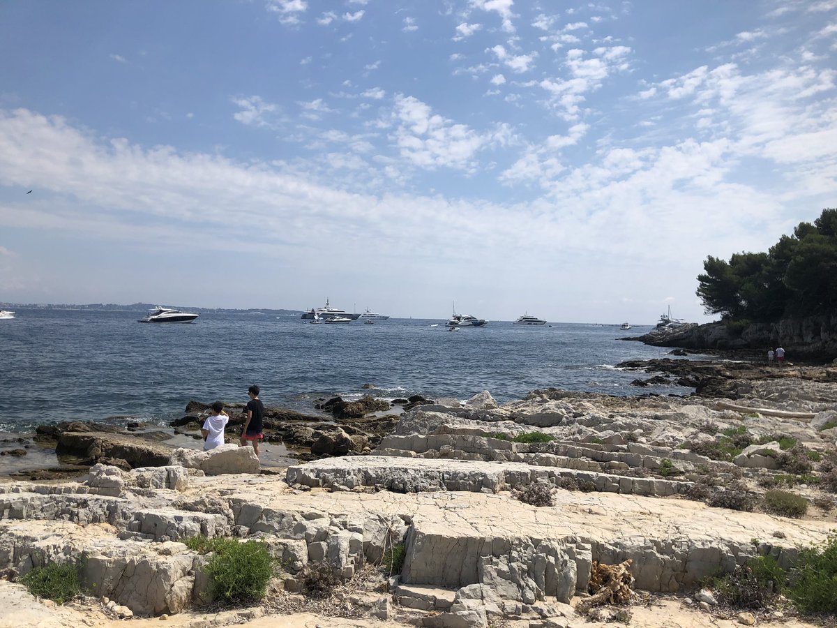 CarineAdan's tweet photo. L’île Sainte-Marguerite #ArchipeldeLérins #MasquedeFer https://t.co/B89EEsTNaO