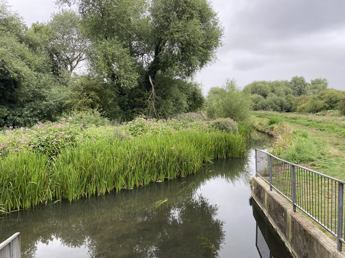 Easing back into train travel for leisure, so took the train to Crayford (Zone 6) and walked home to Zone 3, including the length of the Shuttle Riverway, a LB Bexley path from the mouth [1] to the source [2] of the River Shuttle, a beautifully clear suburban ‘river’. [3]