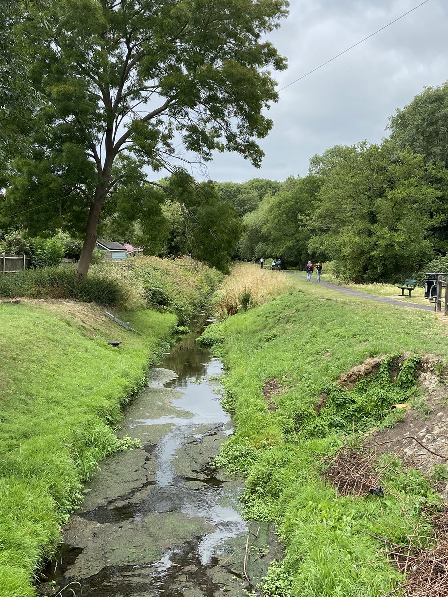 [3] Despite these minor shortcomings,and a silly diversion through some streets in Blendon (where?) became Sidcup Golf Course doesn’t let you follow the river, the Shuttle Riverway is a surprisingly lovely walk. Didn’t see the alleged water voles, but can believe they are there.