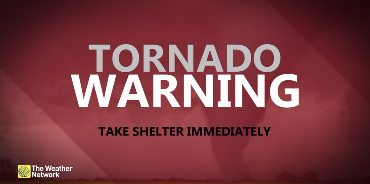 The Weather Network tweet media