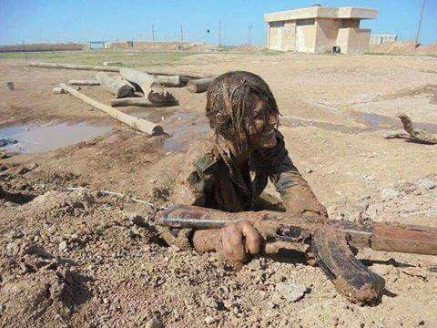 Demsal_Bihar's tweet image. Şoreşa Rojava li kurda 
Û li mirovahî yê pîroz be. 
#SoresaRojava