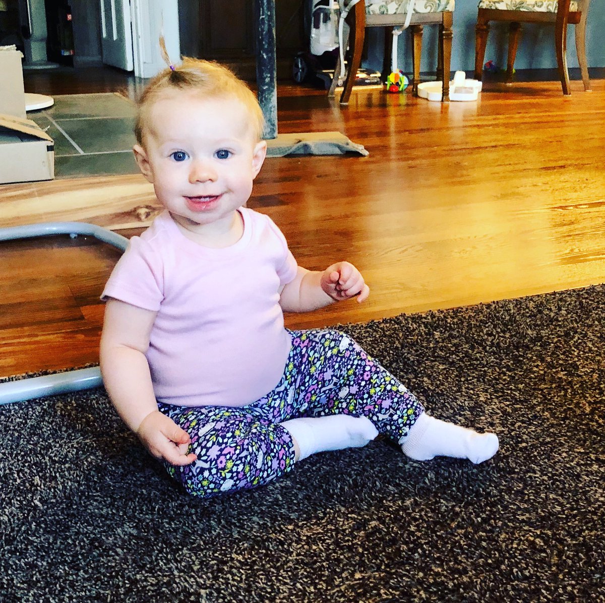 deaver_jess's tweet photo. #crawlingeverywhere #eeveemariebaby https://t.co/RECLytE3wg