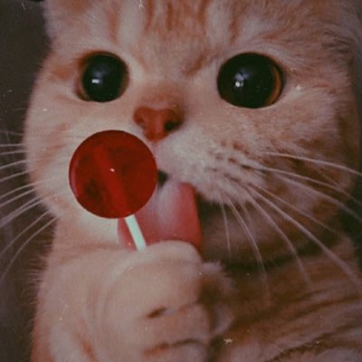 PAW72152986's tweet photo. #NewProfilePic https://t.co/B3LfsOoi76