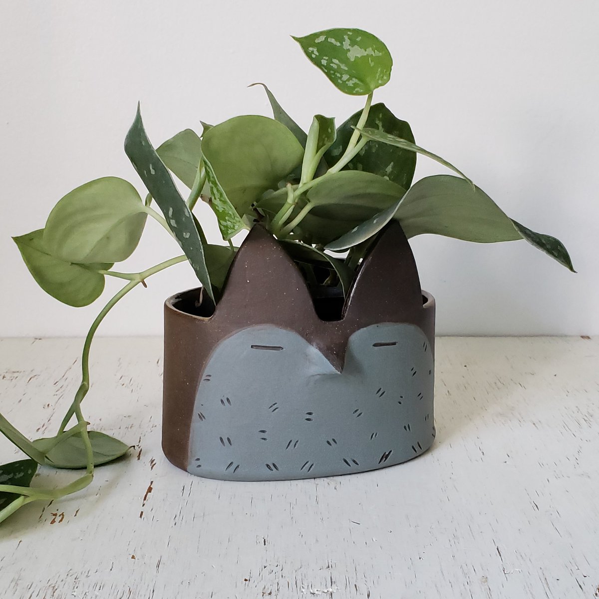 Malea Rhodes tweet media