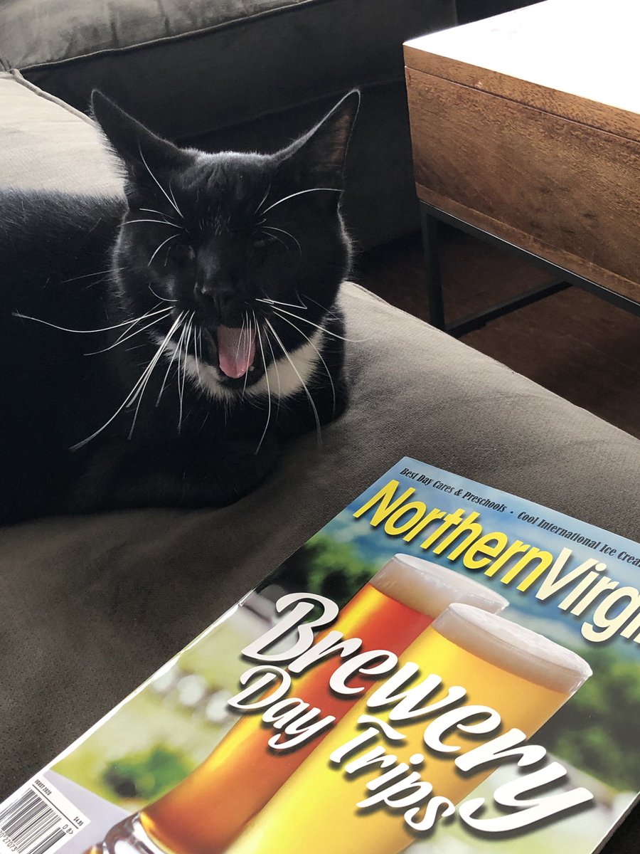 jaysaspo's tweet photo. I think #LeviTheCat is trying to tell me he is bored and wishes he could have more day trips in his life.
@NorthernVAMag #NoVABeer https://t.co/jiDL562lVR