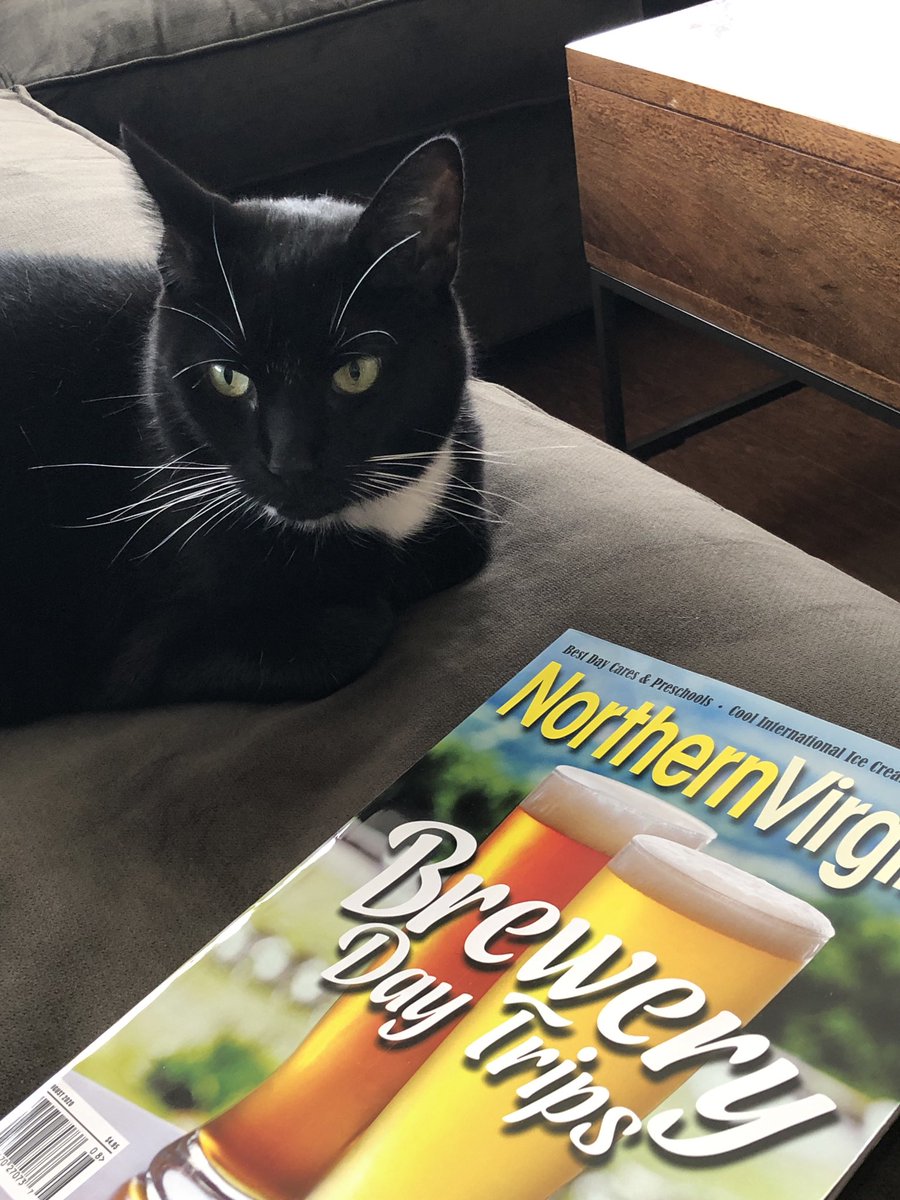 jaysaspo's tweet photo. I think #LeviTheCat is trying to tell me he is bored and wishes he could have more day trips in his life.
@NorthernVAMag #NoVABeer https://t.co/jiDL562lVR