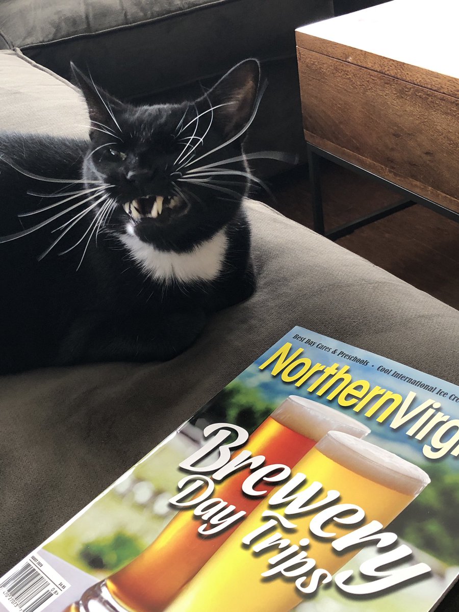 jaysaspo's tweet photo. I think #LeviTheCat is trying to tell me he is bored and wishes he could have more day trips in his life.
@NorthernVAMag #NoVABeer https://t.co/jiDL562lVR