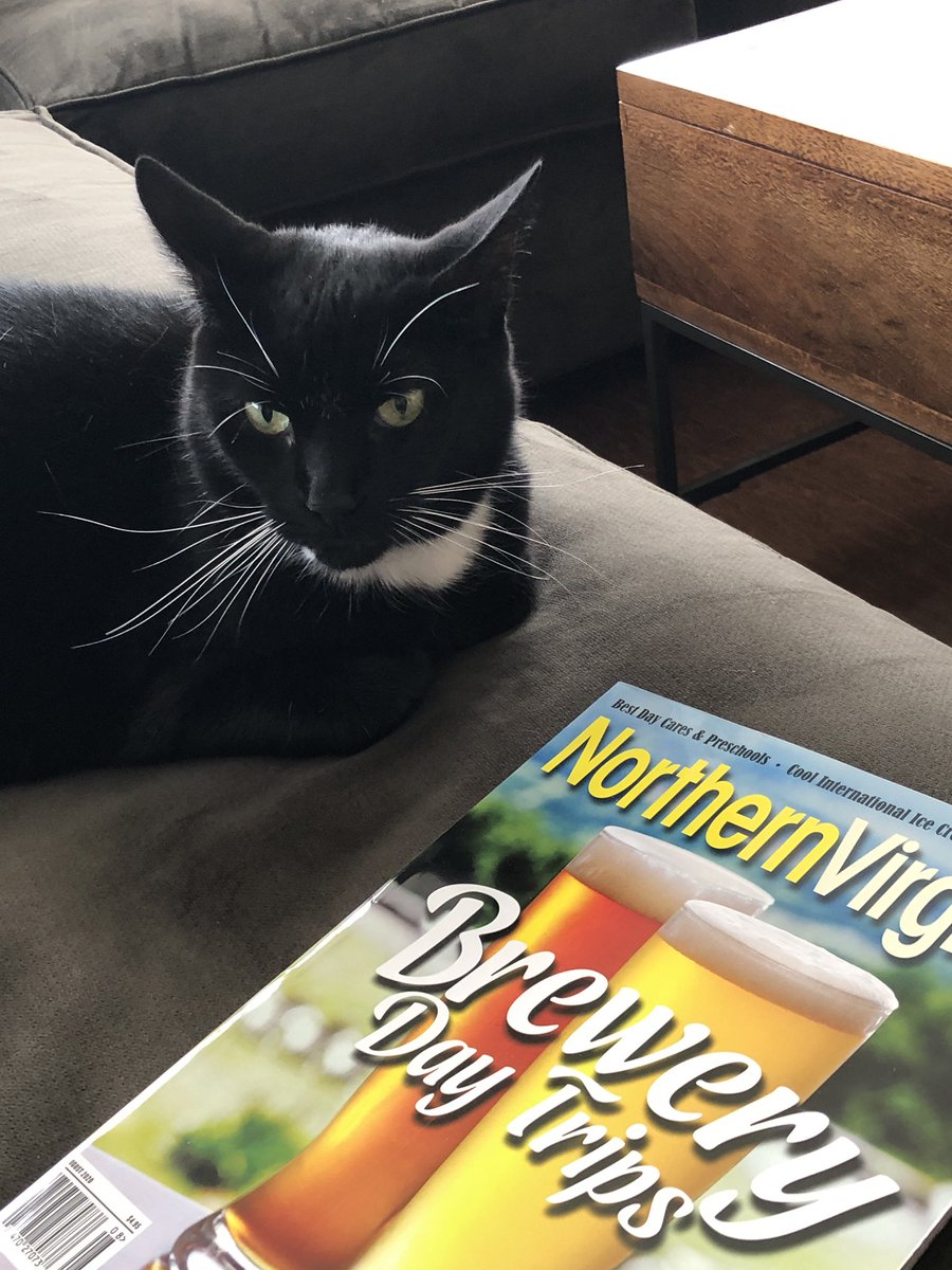 jaysaspo's tweet photo. I think #LeviTheCat is trying to tell me he is bored and wishes he could have more day trips in his life.
@NorthernVAMag #NoVABeer https://t.co/jiDL562lVR