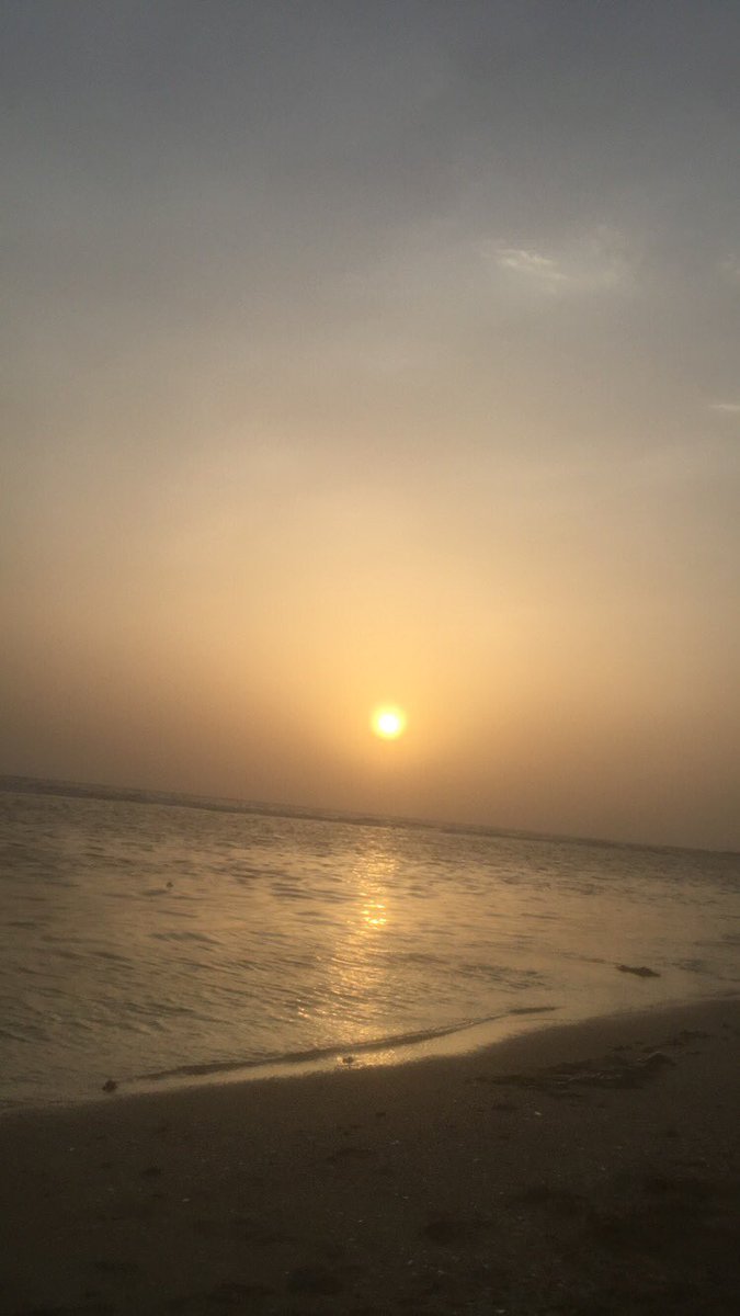 M20092846's tweet photo. #تصويري

🎼😐 احب البحر https://t.co/of2EkoGRXh