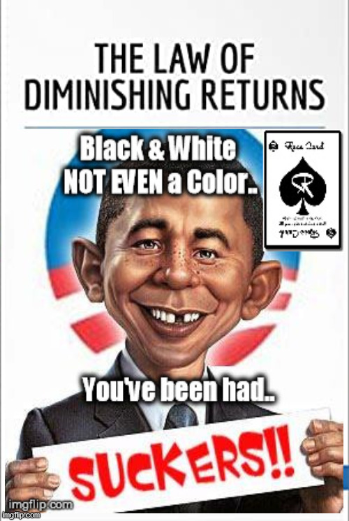 TonyVenutiShow's tweet photo. @NYDailyNews False narrative vs #objectiveTruth
#caucasian #negroid
@dma4him
@JDPHD2
@DwQken
@MelanieMetz6
@realTT2020
@StevenEmery003
@LydiaRi94212372
@DFBHarvard
@JDPHD2
@RainBadass
@mikejblankman
@lewlester
@gd49er
@BoomerBaby_Gus @TSH2_
@PookztA
@skool57 @EricSteeleLive https://t.co/t3dpzRTRWW