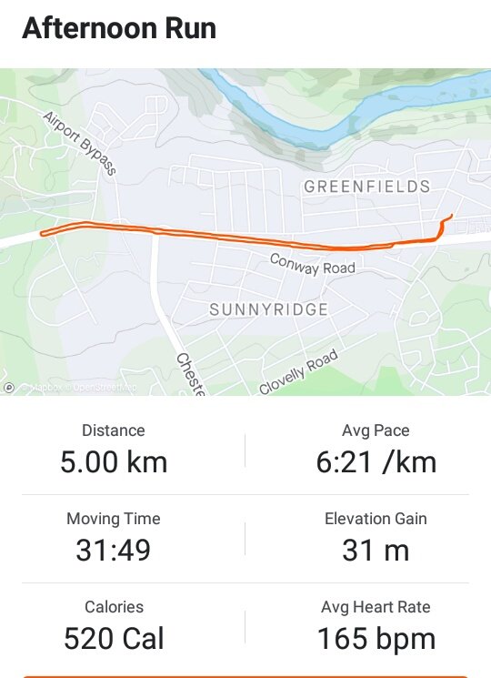 MTNDZML's tweet photo. One of these day I will finish this route under 30mins. So close and yet so far. #NinjaRunner #HalfManHalfMachine #FetchYourBody2020 https://t.co/FjOUlJVtso