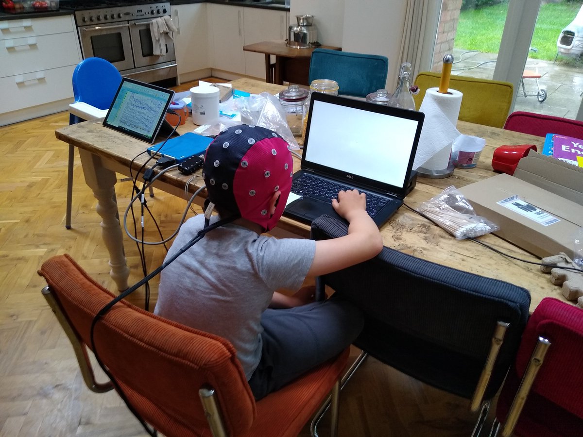 Mazaheri_lab's tweet photo. I think I have mastered combining work with home schooling. https://t.co/ZRWF2D2sB7