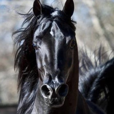 asd300asd's tweet photo. #صورة_جديدة_للملف_الشخصي https://t.co/gw2qNKCtkD