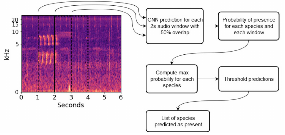 Ecological Informatics (@ecolinform) on Twitter photo Tropical bird and frog species recognized by soundscape recordings and convolutional neural networks.
A great paper by Jack LeBien and colleagues now in Ecological Informatics <a href="/ECOLINFORM/">Ecological Informatics</a>
doi.org/10.1016/j.ecoi…
<a href="/ElsevierNews/">Elsevier News</a>
@ElsEnviron Tropical bird and frog species recognized by soundscape recordings and convolutional neural networks.
A great paper by Jack LeBien and colleagues now in Ecological Informatics <a href="/ECOLINFORM/">Ecological Informatics</a>
doi.org/10.1016/j.ecoi…
<a href="/ElsevierNews/">Elsevier News</a>
@ElsEnviron