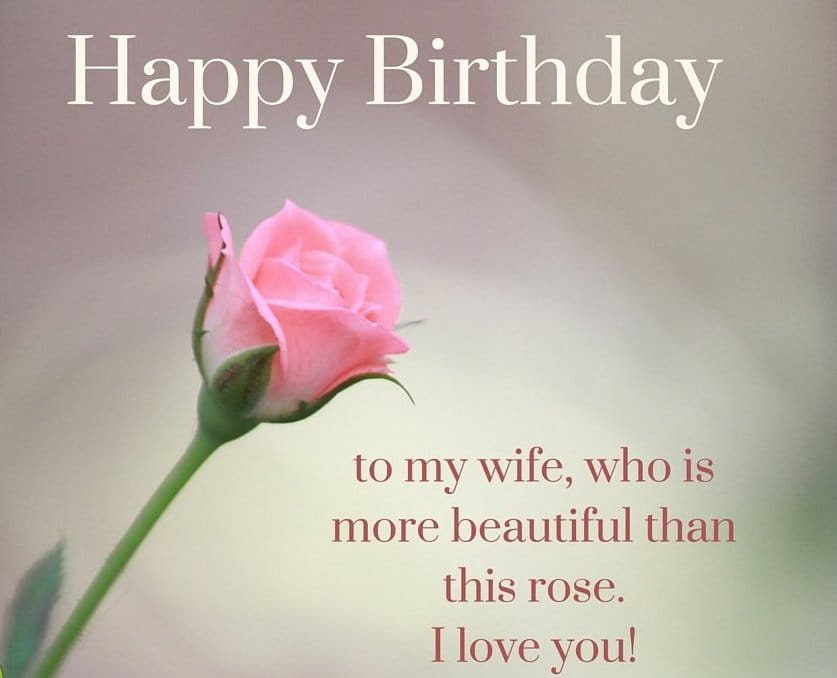 DirkLevinus's tweet photo. Happy birthday my wife
May we stay in harmony until old age
https://t.co/jfpthfAgBX
#HappyBirthdayMyWife #midi #midiPlayer #javascript #minahasautara #sulawesiutara #music https://t.co/P2DIv2q1N5