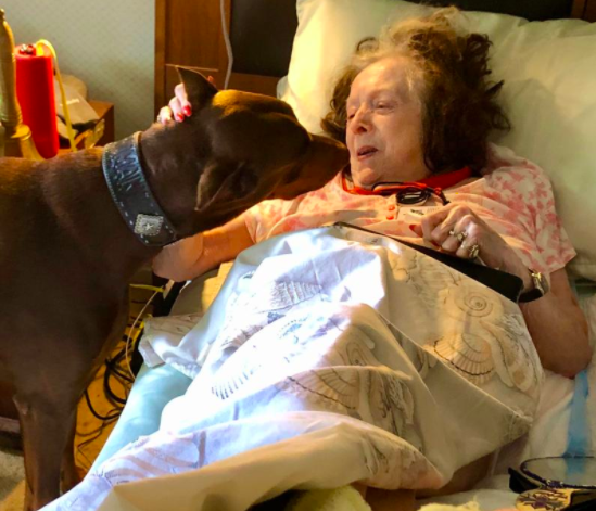 What the world needs right now, more than ever, is love and connection! One of our Home Care Liaisons, Francesca Vogel, brought her therapy dog, Roman, to visit a friend and previous client. It surely brightened up her day, and we hope that this sweet picture does for you too!