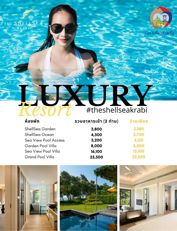 TheShellSea Krabi tweet media