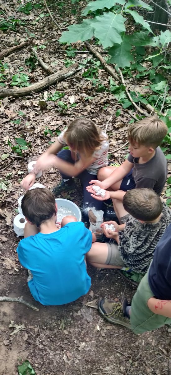 SH_Welpen's tweet photo. Er zijn brieven aangekomen maar er werden er ook geschreven naar jullie! We zochten ook de schaduw op in het bos om kampen te gaan bouwen. Toen de kampen klaar waren was het tijd voor een meelballen gevecht en een schoon wandelingetje door het mooie Lubbeek. https://t.co/ExSUv36iAe