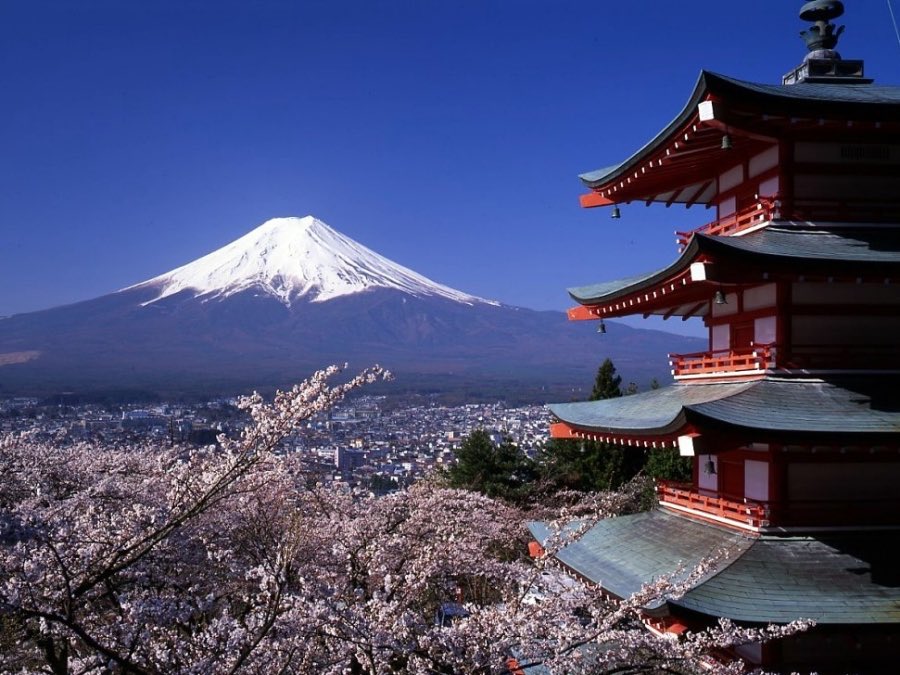 alanxelmundo's tweet photo. ¡Con estos consejos pueden ahorrar algunos yenes en un viaje a Tokio! https://t.co/EGzNO8Jbou https://t.co/Mstr4BAebU