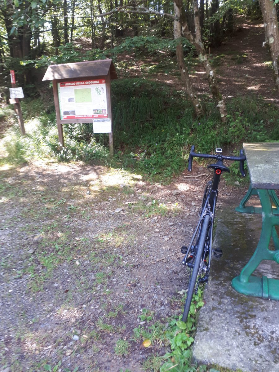 rptmtt's tweet photo. Oggi giro in 🚴♂️ sui passi dell'alta #Valfontanabuona ...prima #Ruta e #CrocettaDiRapallo poi #Scoglina e #Barbagelata , poi #PassoDelPortello da #ValTrebbia , infine #CorniceSinatra da #Neirone a #Rossi con #CollaDiRossi infine #Lumarzo e ritorno sulla costa https://t.co/9A5miaAo1P