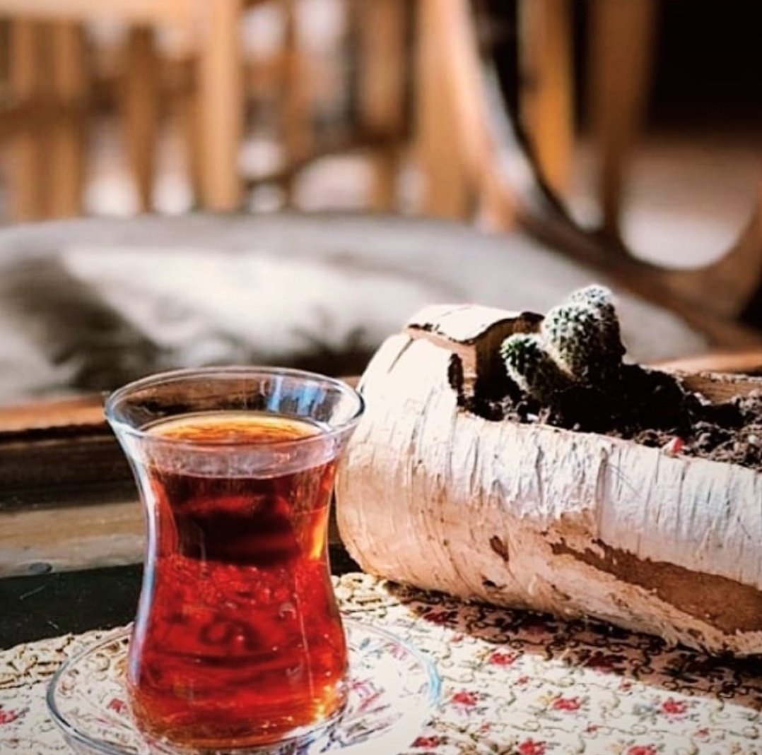 ilimvefikir's tweet photo. "Sükûnet, incelik, edep ve zerafet insanı her gittiği yerde sultan yapar."🌸
"" ~"" ~""

🌿 https://t.co/Q3XMKGACAS