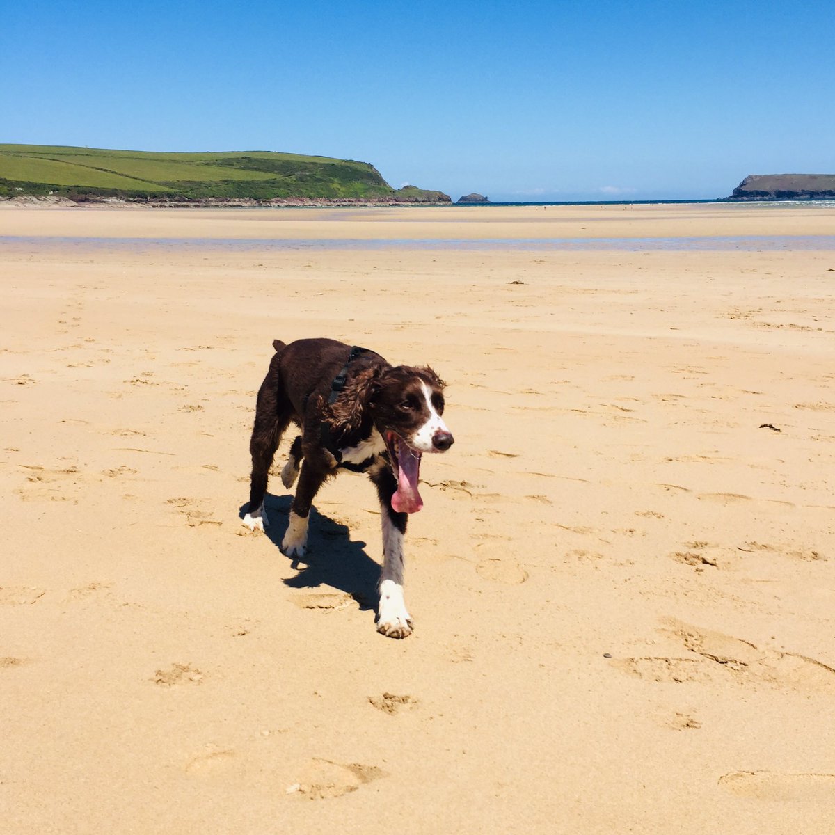 Hello, summer holidays!