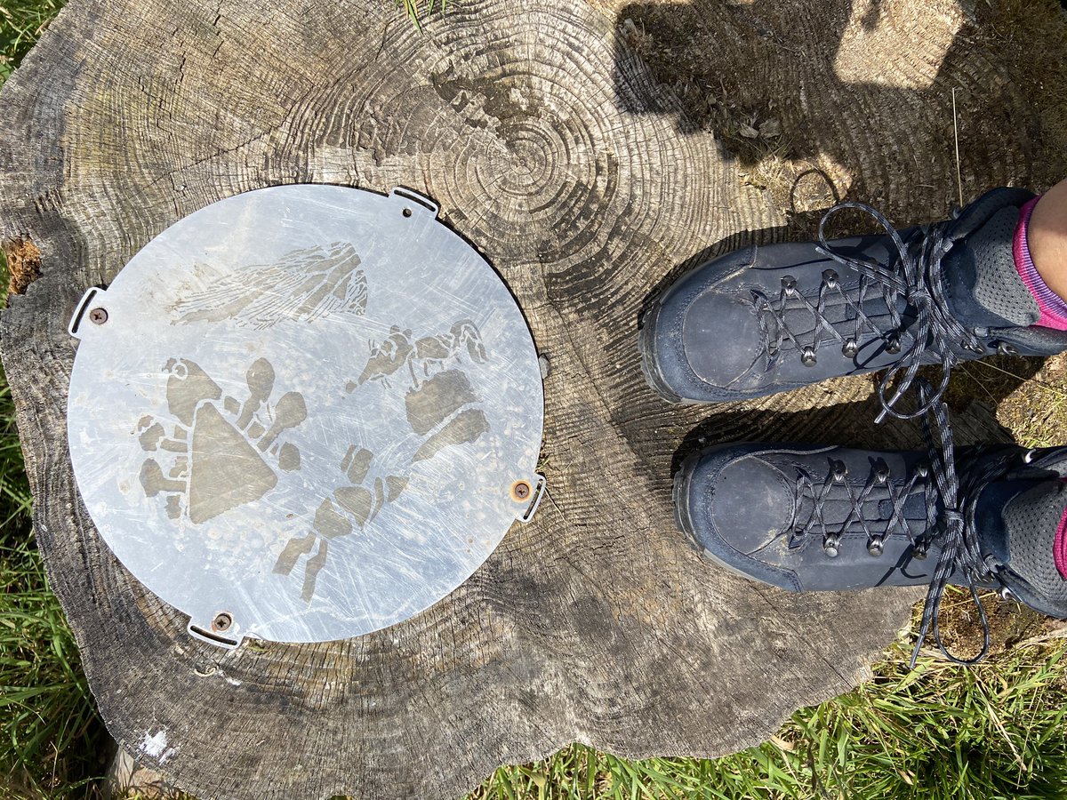 Crickhowell Adventure tweet media