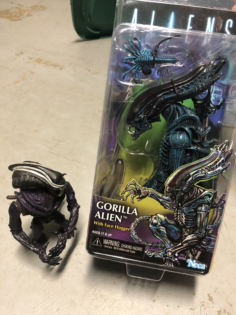 gregnowachek's tweet photo. 1) Finding inspiration from my collectibles. Always loved the #GorillaAlien design. #NECA #kennertoys #Xenomorph https://t.co/XuNiZhwPVa