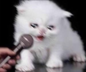 haikyuu 402 