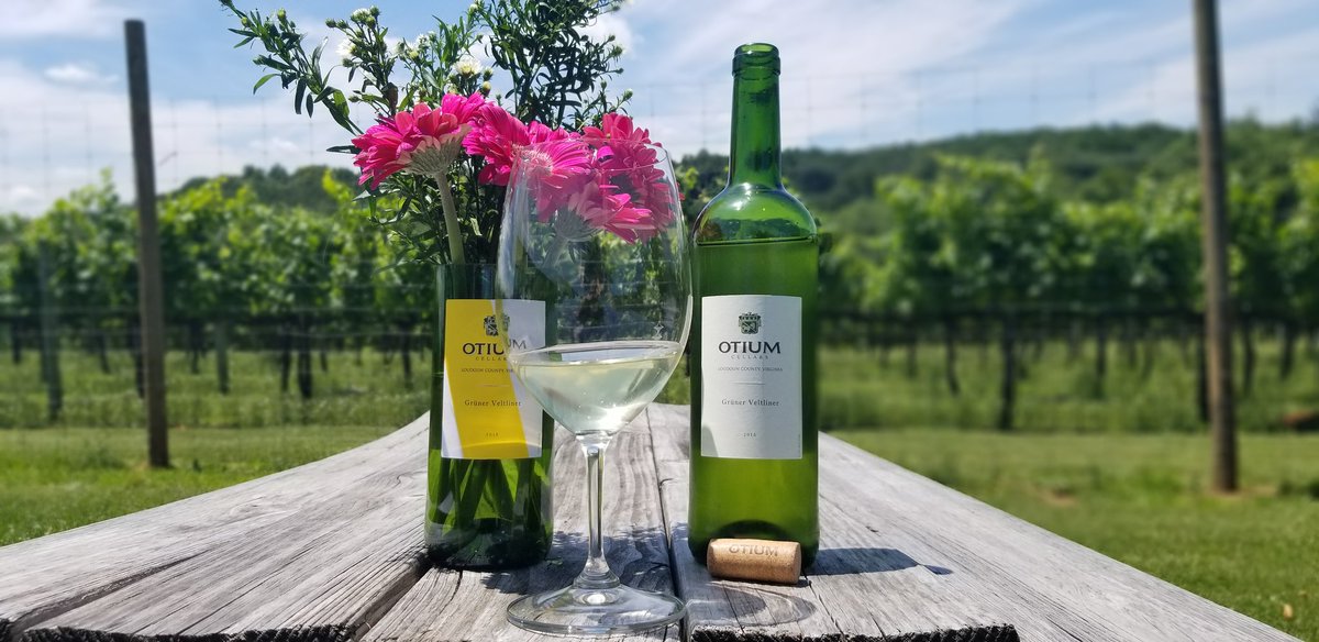 Live Music from Lee Jones 1:30-5:30 today. Come on out and enjoy a bottle of Grüner Veltliner. See ya at Otium. #vawine #virginiawine #drinkloco #visitloudoun #getoutloudoun #grünertime #loudounentertainment