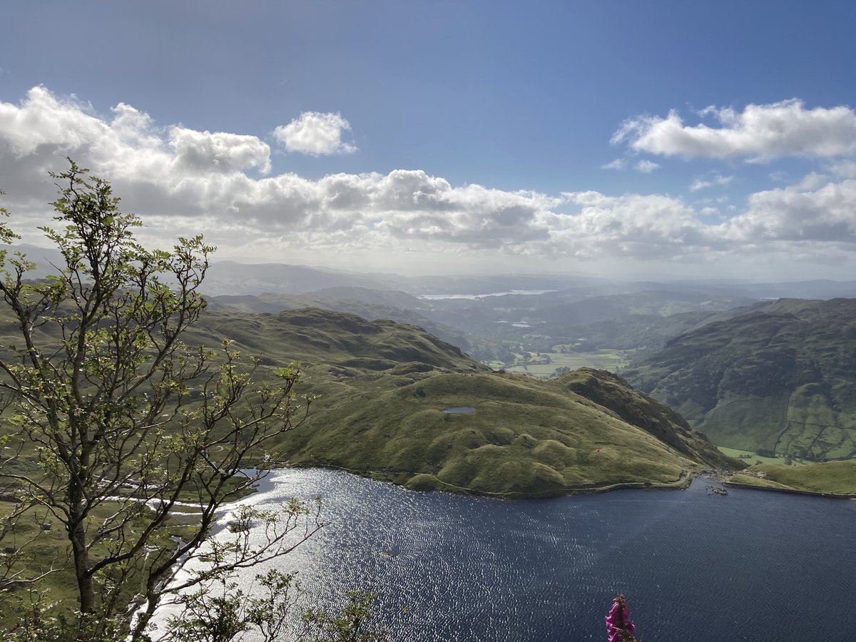 mattjarratt2's tweet photo. Fantastic morning on Jacks rake. Went early and had it to ourselves. https://t.co/pUCgPElECw