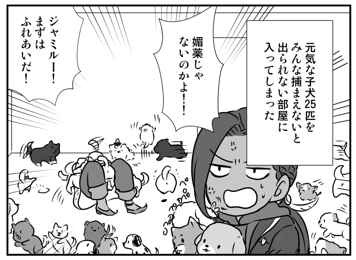 19 元気な子犬25匹をみんな捕まえないと出られない部屋に入ってしまったカリジャミ
お題有難う!たぶん25匹いる…?

これにて打ち止め! 