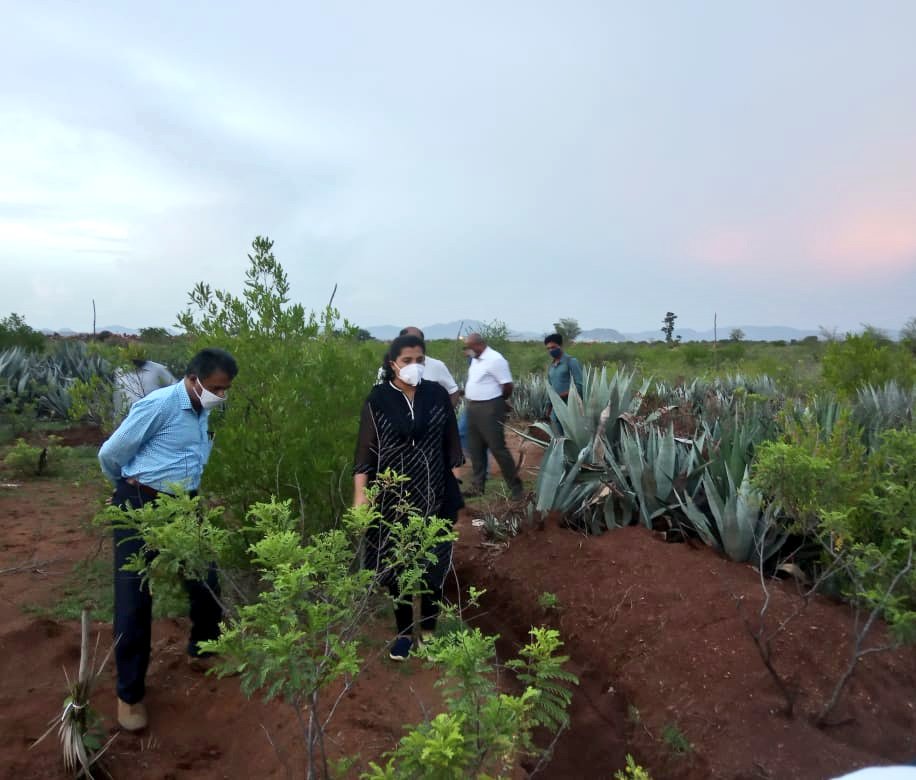 ChikkballapurZP's tweet photo. Visits to #afforestation and social moisture conservation #SMC works taken up by Social Forest department through #MGNREGA in #Chikkaballapur, #Bagepalli and #Gudibande taluks. Due to good spell of rains, encouraged them to take up many more works this year. #CreatingForests https://t.co/qNuU0BMTgR